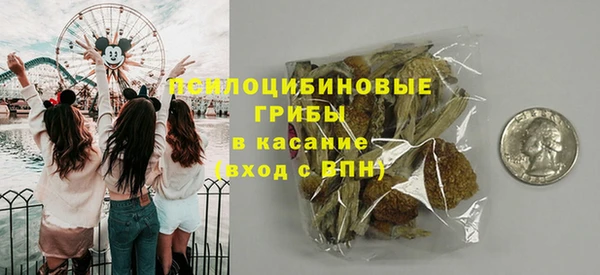 тгк Алзамай